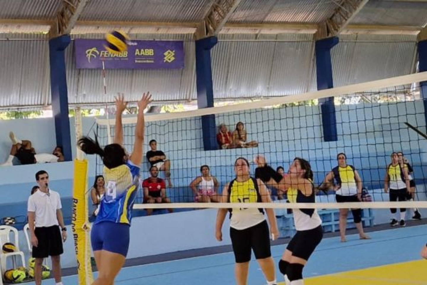 Vôlei 